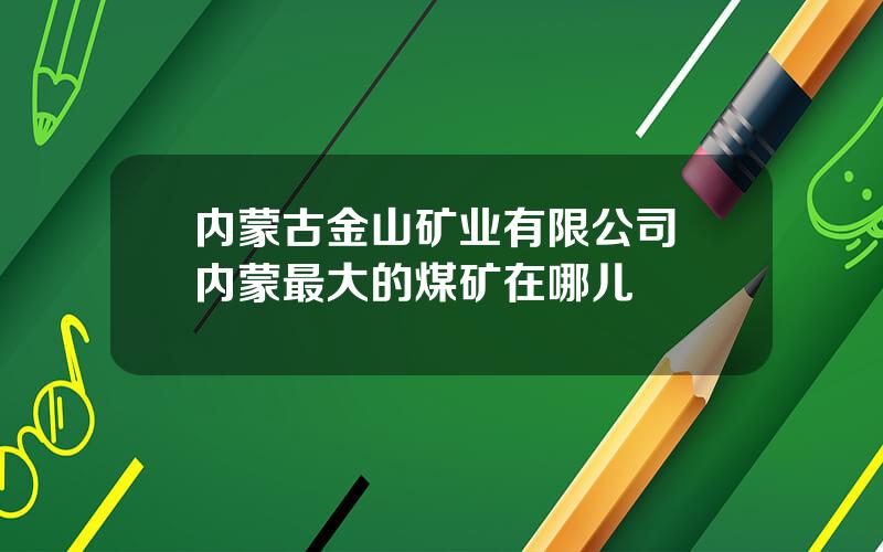 内蒙古金山矿业有限公司 内蒙最大的煤矿在哪儿